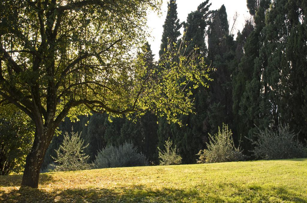 Villa Montaperti Monteaperti  Стая снимка